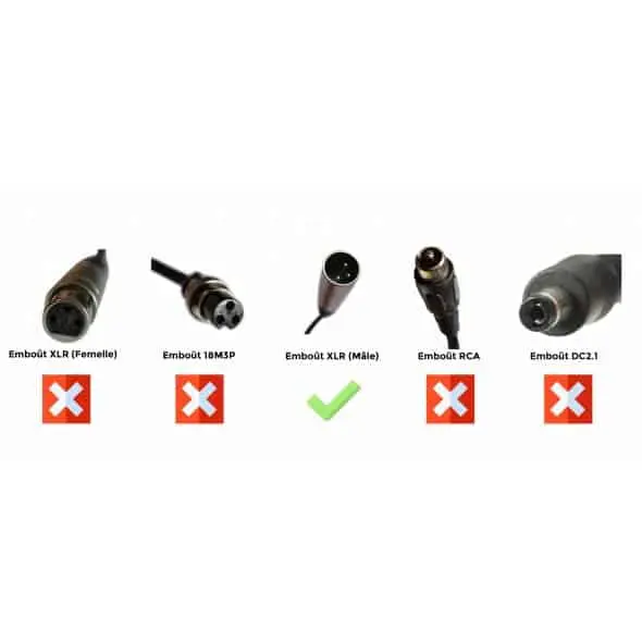 Doctibike Chargeur Lithium Ion 24V2A - Embout XLR Mâle (dimension : 18mm)