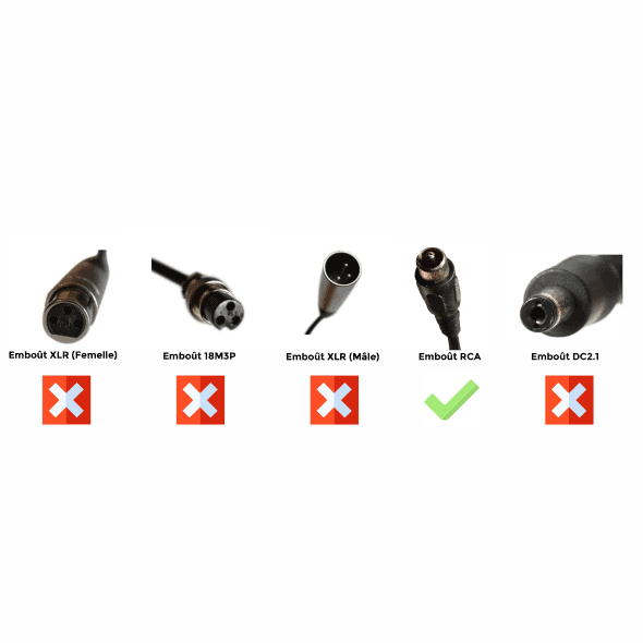 Doctibike Chargeur Lithium Ion 24V2A - Embout RCA – Image 2