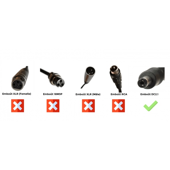 Doctibike Chargeur Lithium Ion 24V2A - Embout Jack (DC2.1)