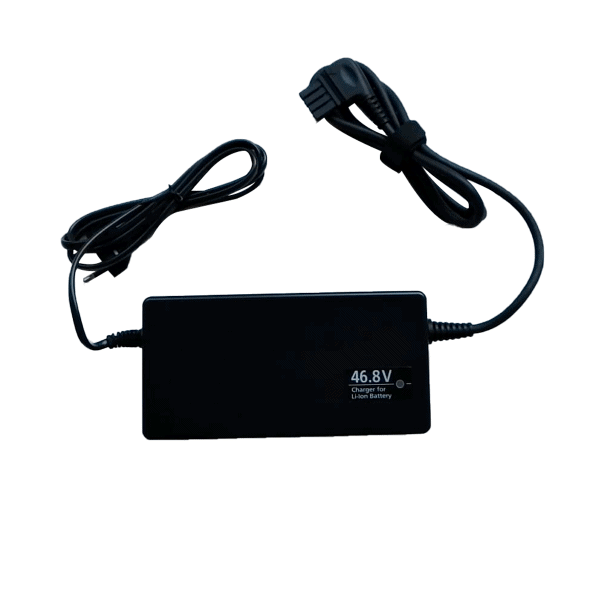 Doctibike Chargeur Panasonic 48V Vollblut – Image 5