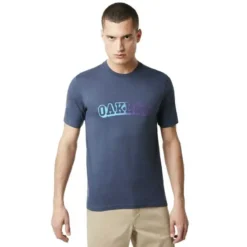Tee-shirt Oakley Velvet Logo Foggy Blue